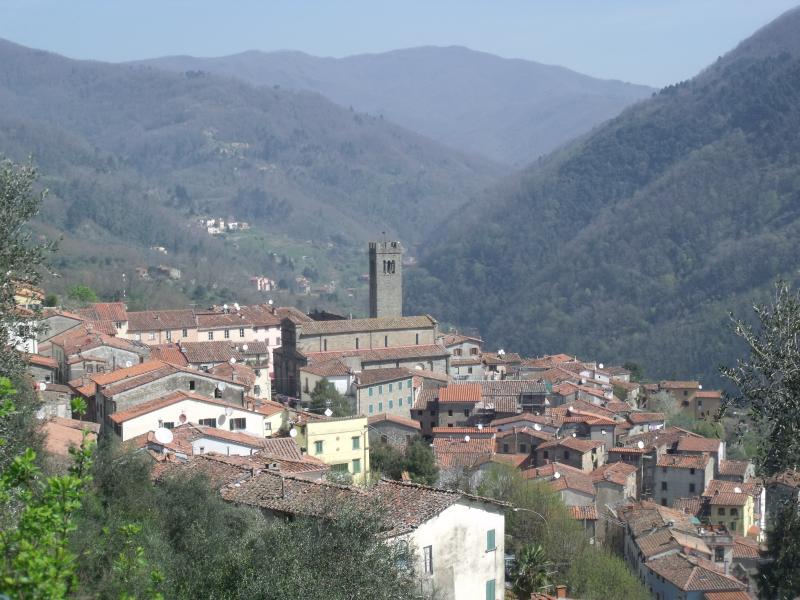 Vista di Villa Basilica, Lucca (55019)