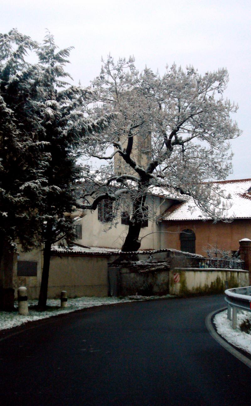 Vista di Rodano, Milano (20090)