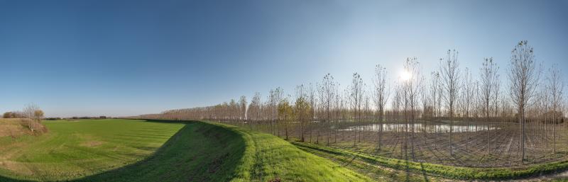 Vista di Bagnolo San Vito, Mantova (46031)
