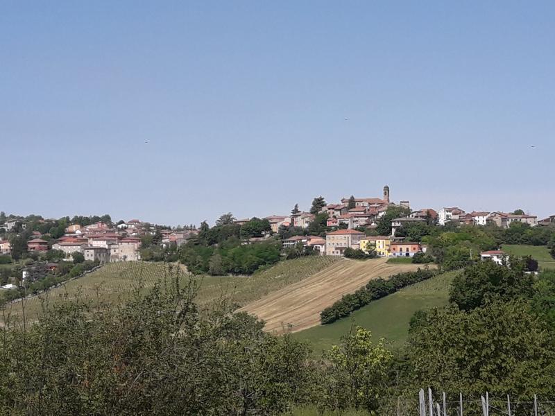 Vista di Ziano Piacentino, Piacenza (29010)