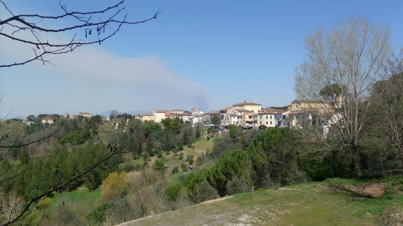 Vista di Fauglia, Pisa (56043)