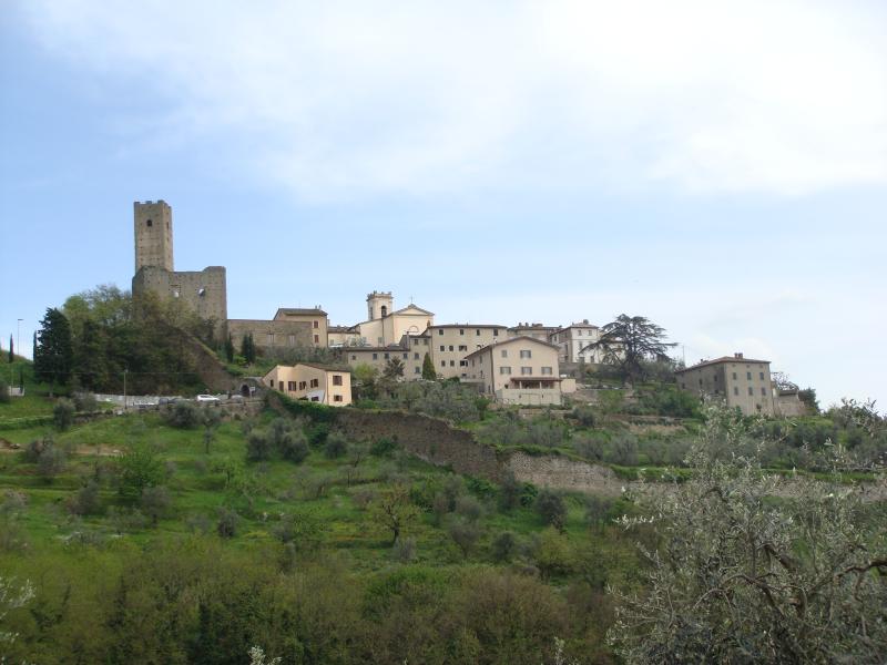 Vista di Larciano, Pistoia (51036)