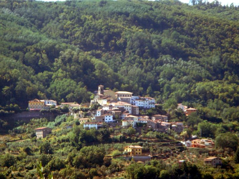 Vista di Marliana, Pistoia (51010)