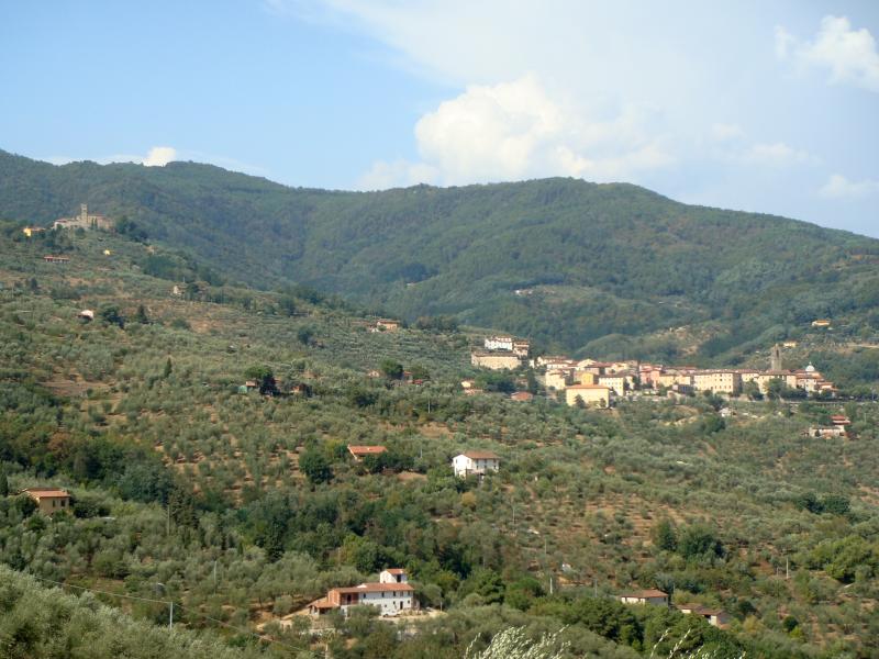 Vista di Massa e Cozzile, Pistoia (51010)