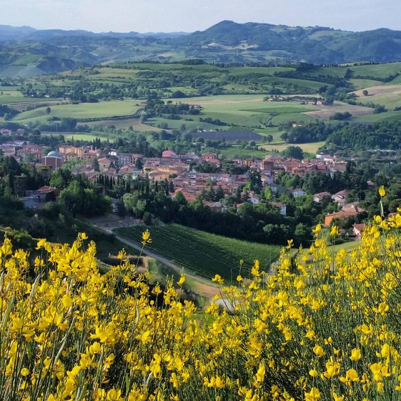 Vista di Riolo Terme, Ravenna (48025)
