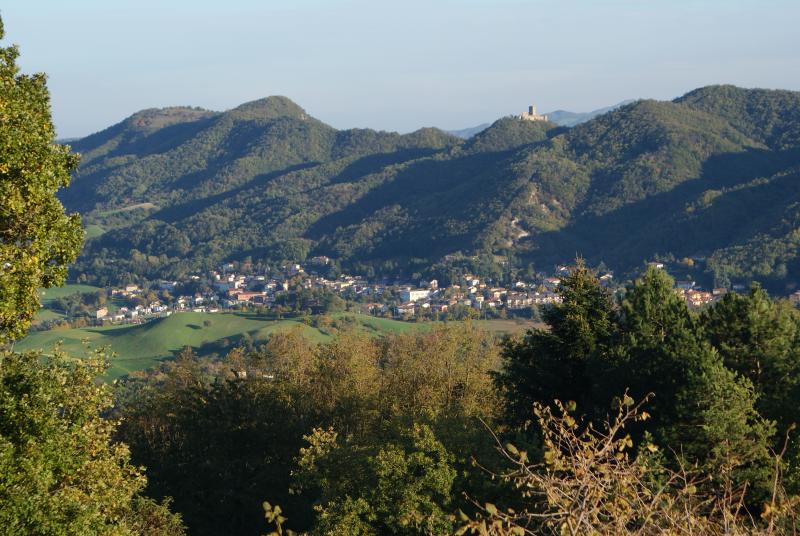 Vista di Carpineti, Reggio Emilia (42033)