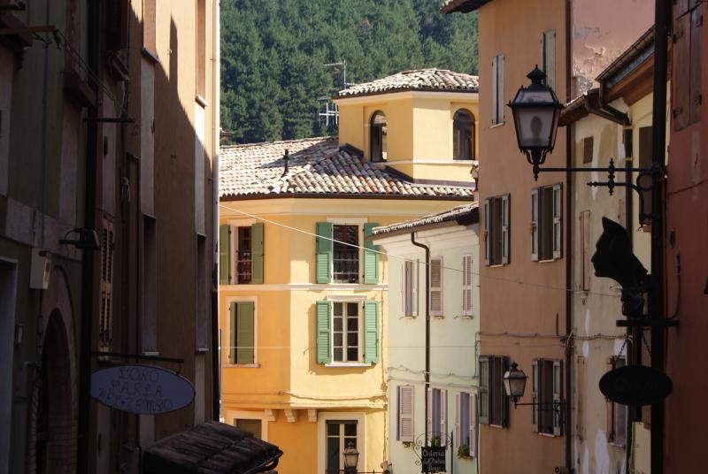 Vista di Castelnovo ne' Monti, Reggio Emilia (42035)