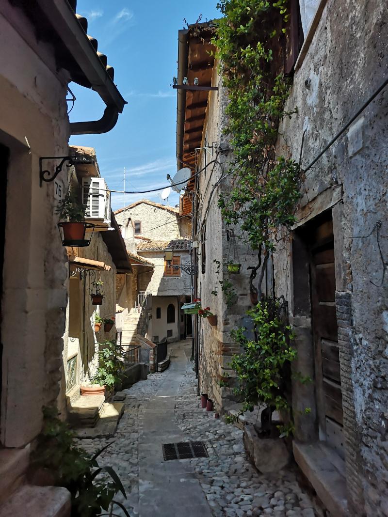 Vista di Poggio Moiano, Rieti (02037)