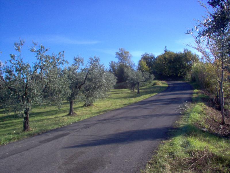 Vista di Salisano, Rieti (02040)
