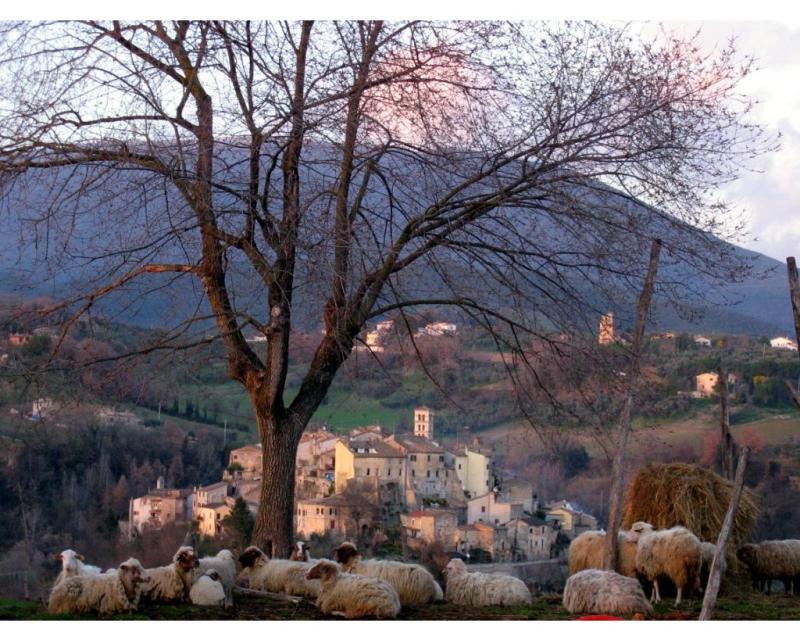 Vista di Tarano, Rieti (02040)