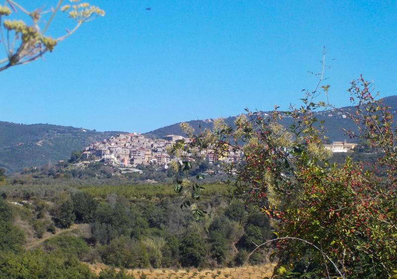 Vista di Moricone, Roma (00010)