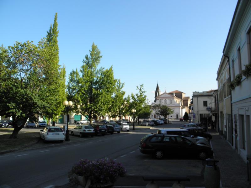 Vista di Castelguglielmo, Rovigo (45020)