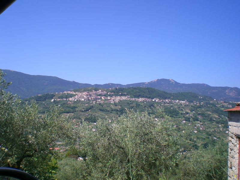 Vista di Castel San Lorenzo, Salerno (84049)