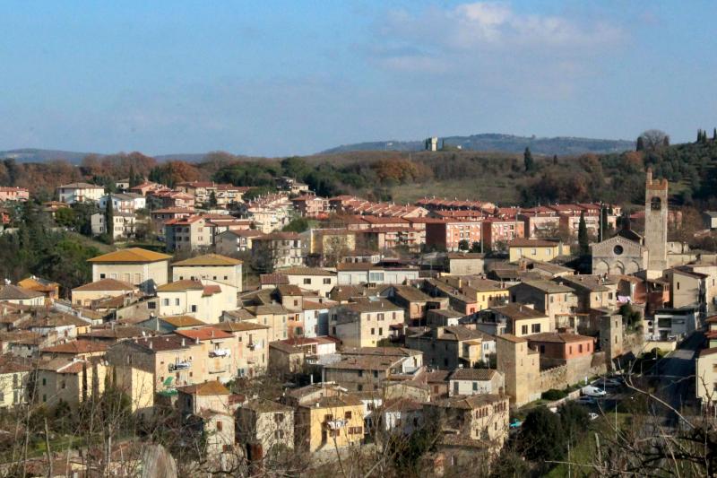 Vista di Asciano, Siena (53041)
