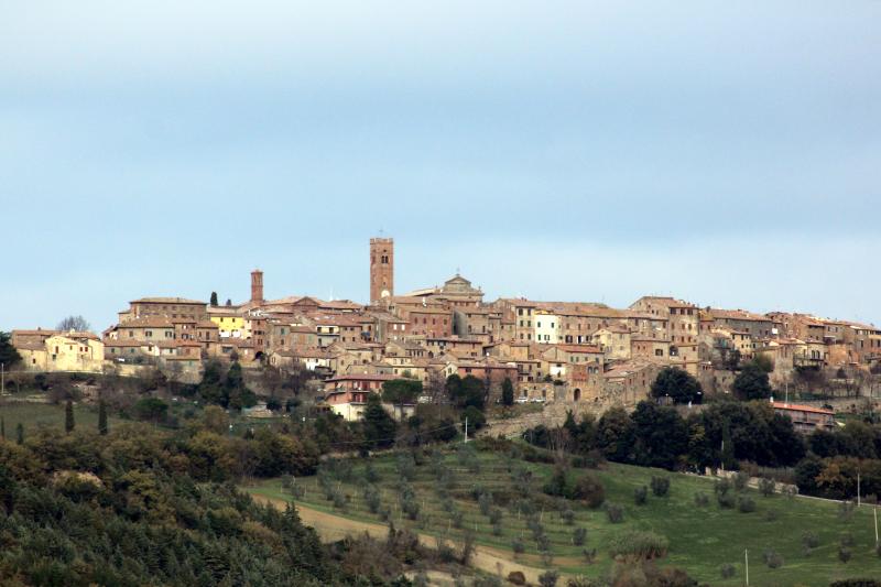 Vista di Radicondoli, Siena (53030)