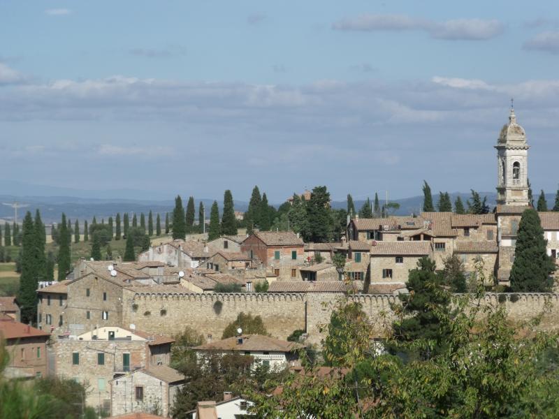 Vista di San Quirico d'Orcia, Siena (53027)