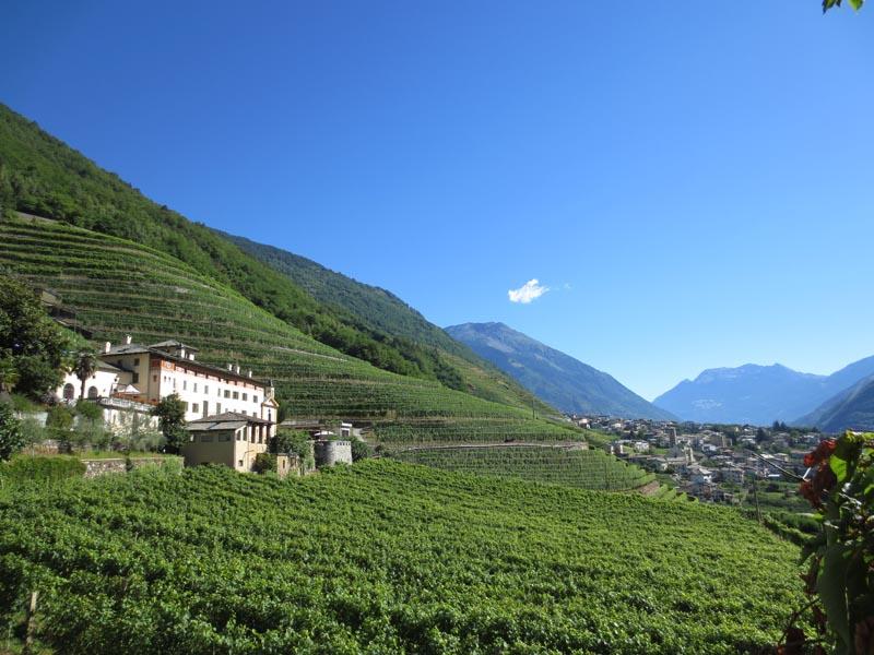 Vista di Bianzone, Sondrio (23030)
