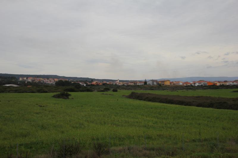 Olmedo