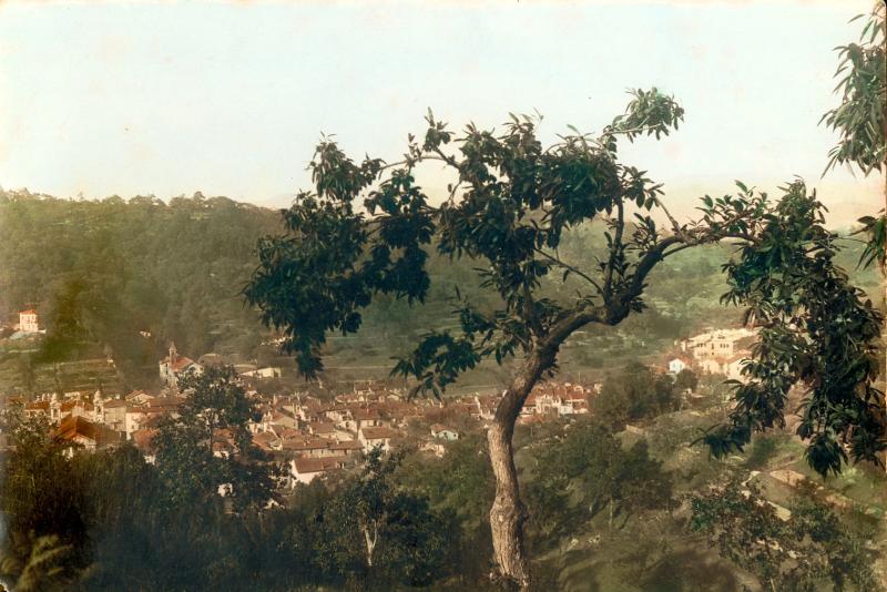 Vista di Altare, Savona (17041)