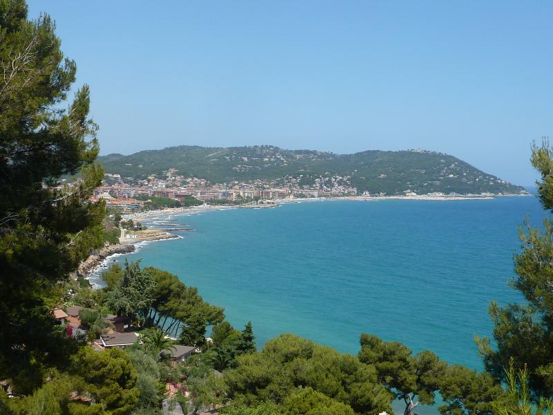 Vista di Andora, Savona (17051)