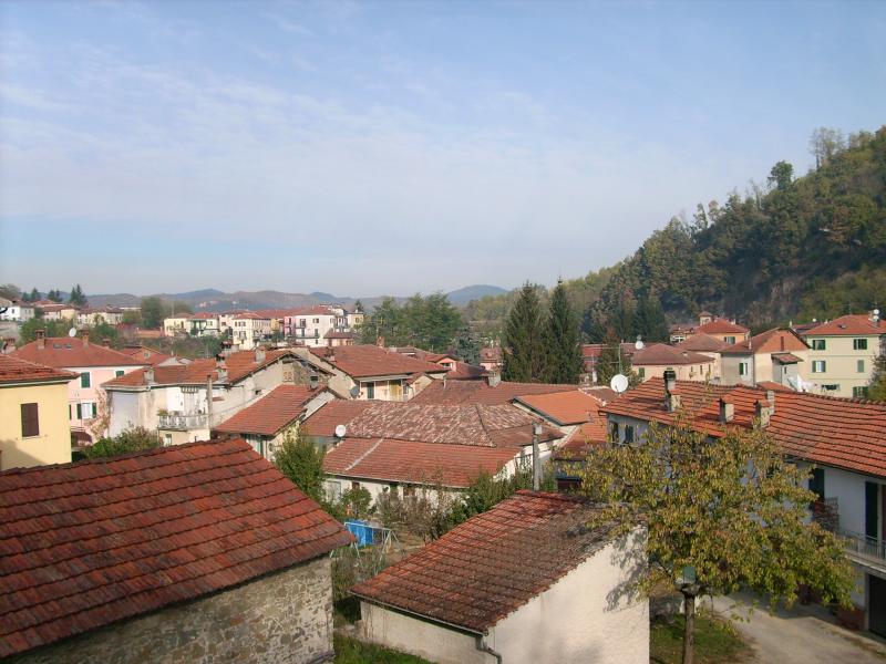 Vista di Dego, Savona (17058)