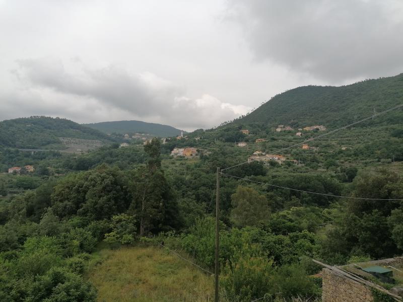 Vista di Vezzi Portio, Savona (17028)