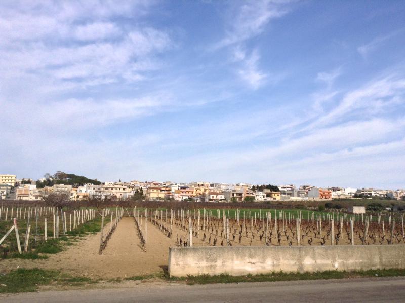 Vista di San Marzano di San Giuseppe, Taranto (74020)