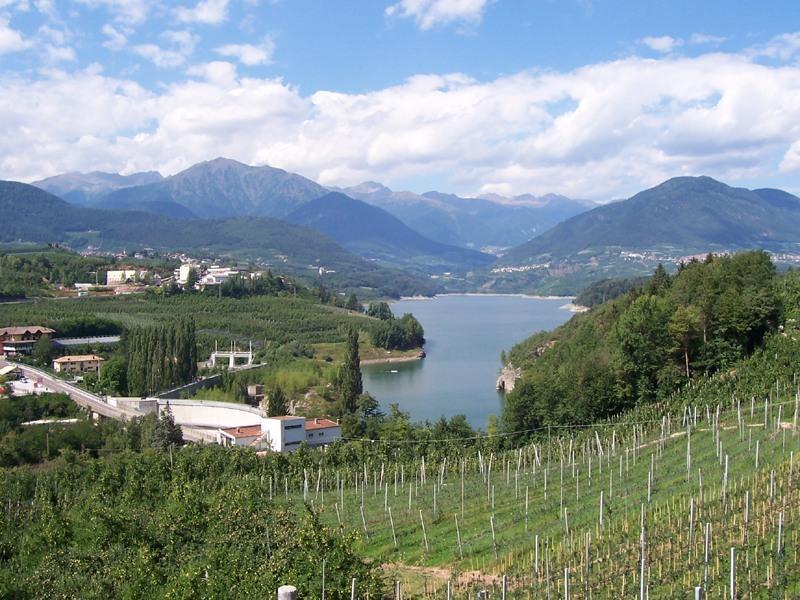 Vista di Novella, Trento (38020)