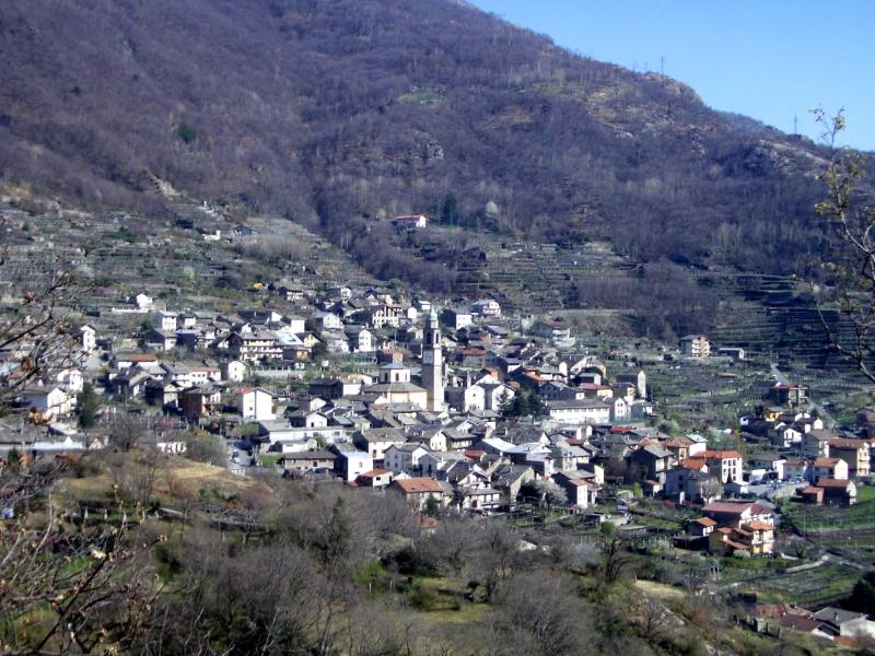 Vista di Carema, Torino (10010)