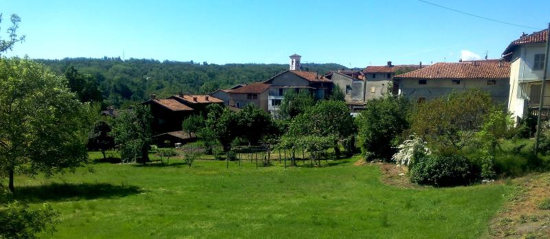 Vista di Quagliuzzo, Torino (10010)
