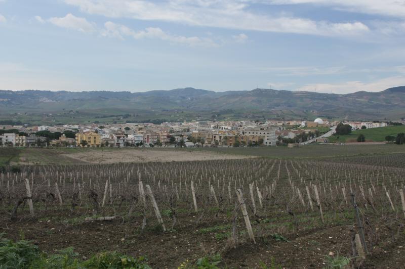 Vista di Gibellina, Trapani (91024)