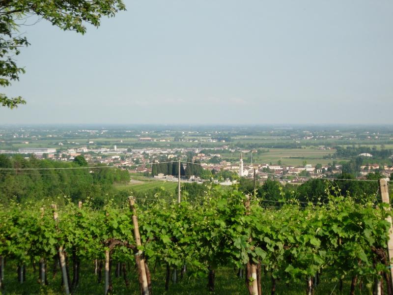Vista di Susegana, Treviso (31058)