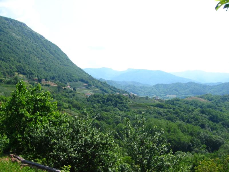 Vista di Nimis, Udine (33045)