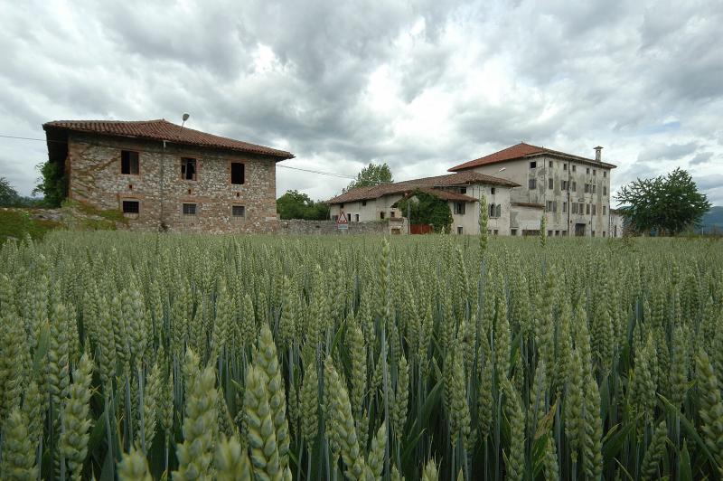 Vista di Reana del Rojale, Udine (33010)