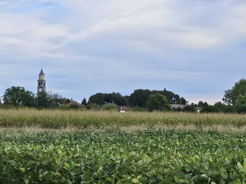 Vista di Trivignano Udinese, Udine (33050)