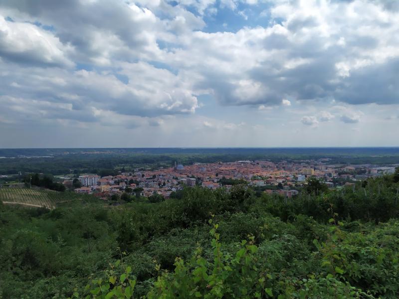 Gattinara