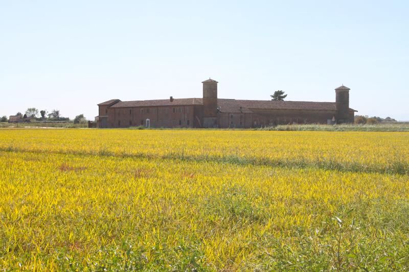 Vista di Pezzana, Vercelli (13010)