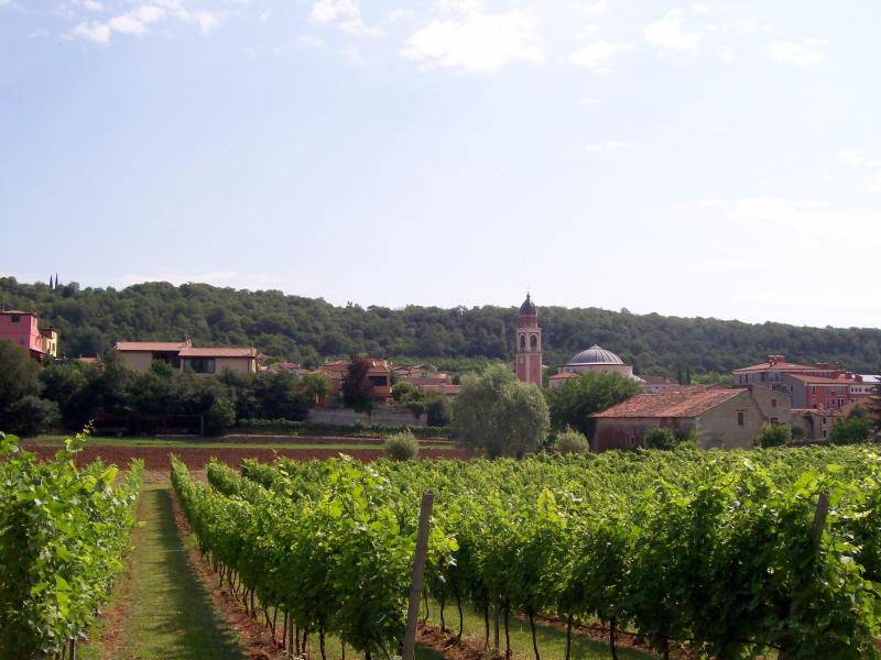 Vista di Alonte, Vicenza (36045)