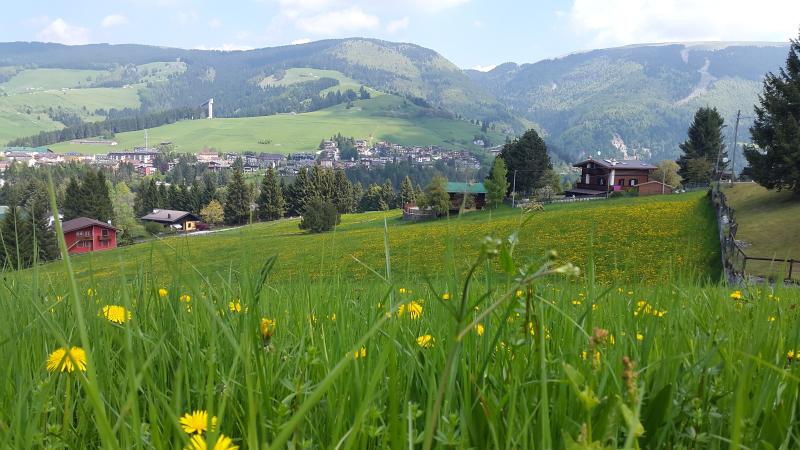 Vista di Gallio, Vicenza (36032)
