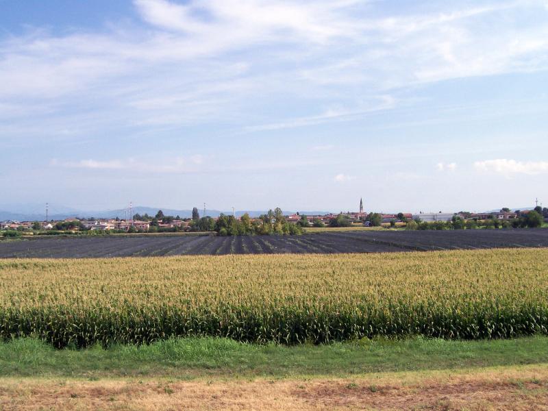 Vista di Albaredo d'Adige, Verona (37041)