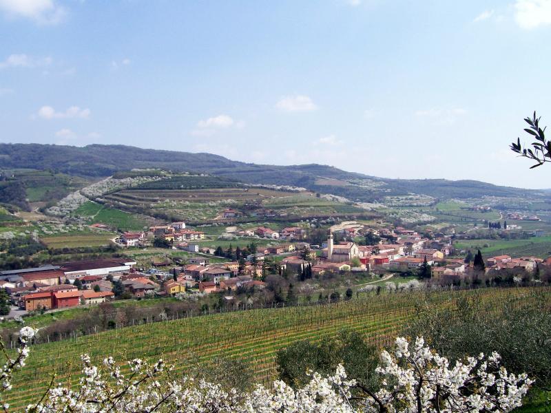 Vista di Cazzano di Tramigna, Verona (37030)