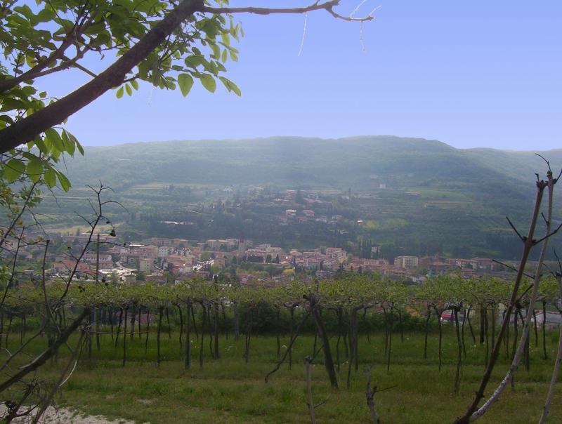 Vista di Grezzana, Verona (37023)