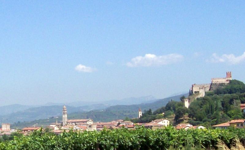 Vista di Soave, Verona (37038)