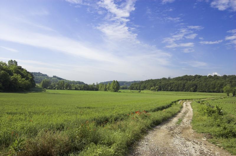 Vista di Sommacampagna, Verona (37066)