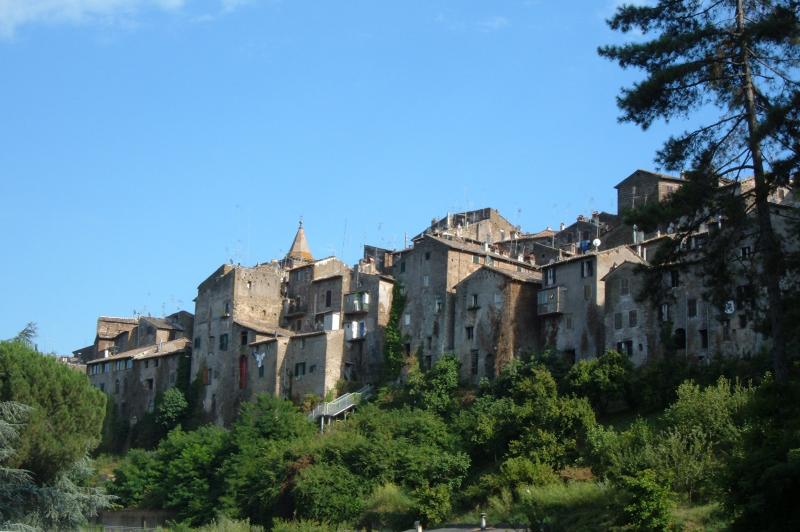 Vista di Capranica, Viterbo (01012)