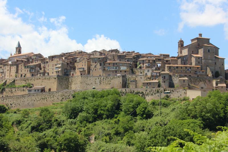 Vista di Grotte di Castro, Viterbo (01025)