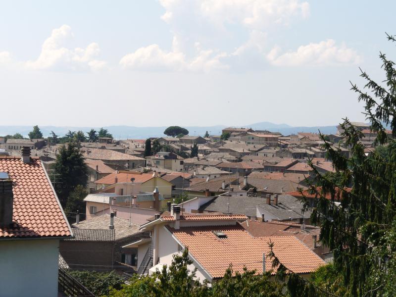 Vista di San Lorenzo Nuovo, Viterbo (01020)